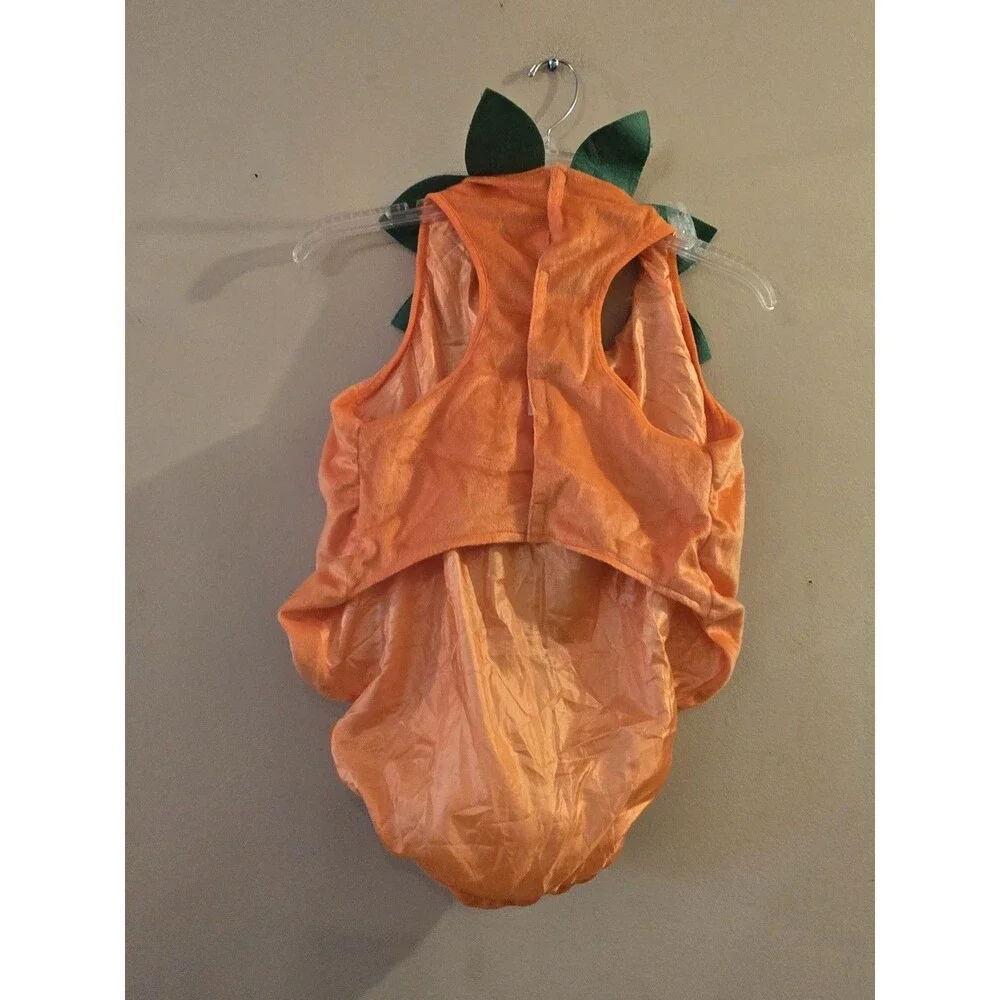 Vibrant Life Pumpkin Dog Costume Large Jack O Lantern Halloween Spooky C156